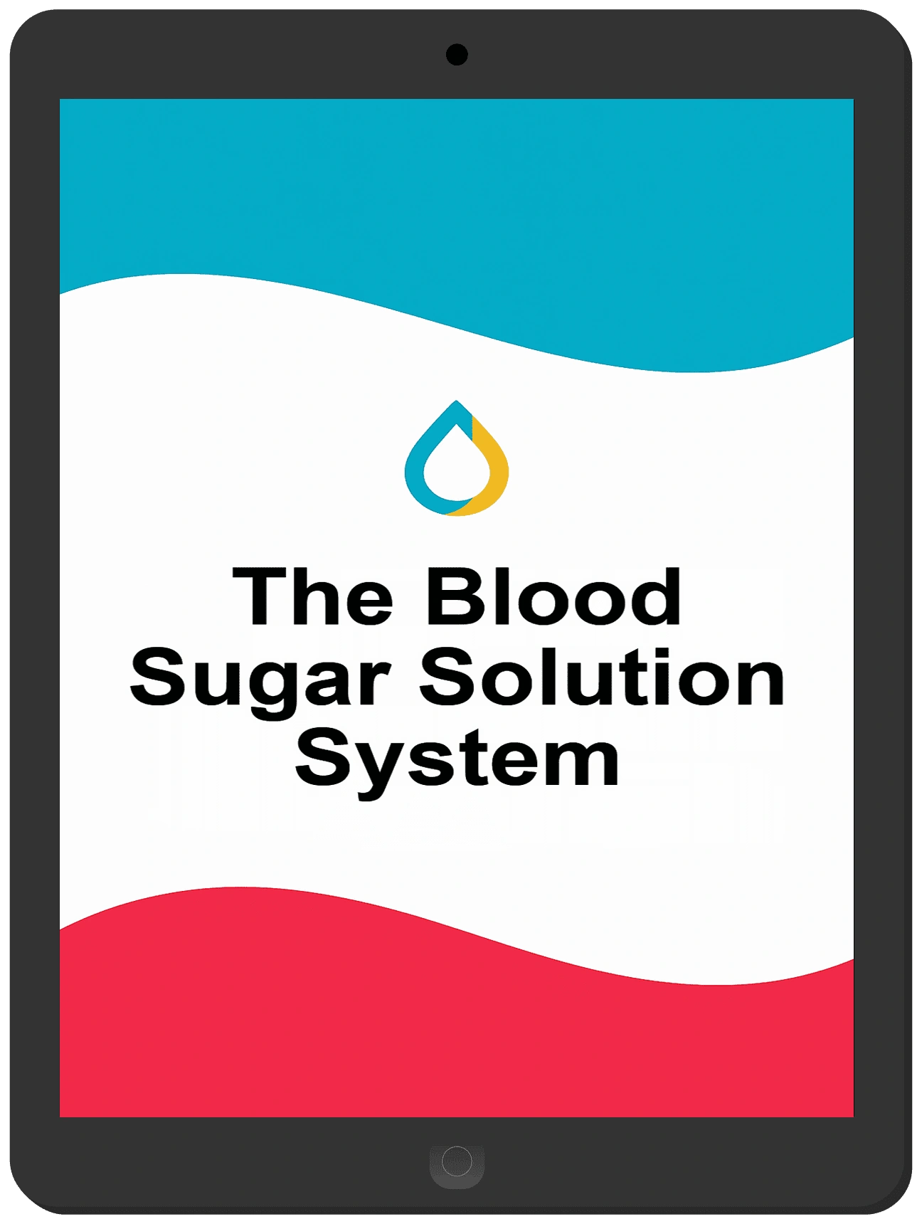 Bonus 1 - The Blood Sugar Solution System ebook included free with 3 or 6 bottle orders
